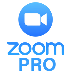 Zoom Pro là gì?